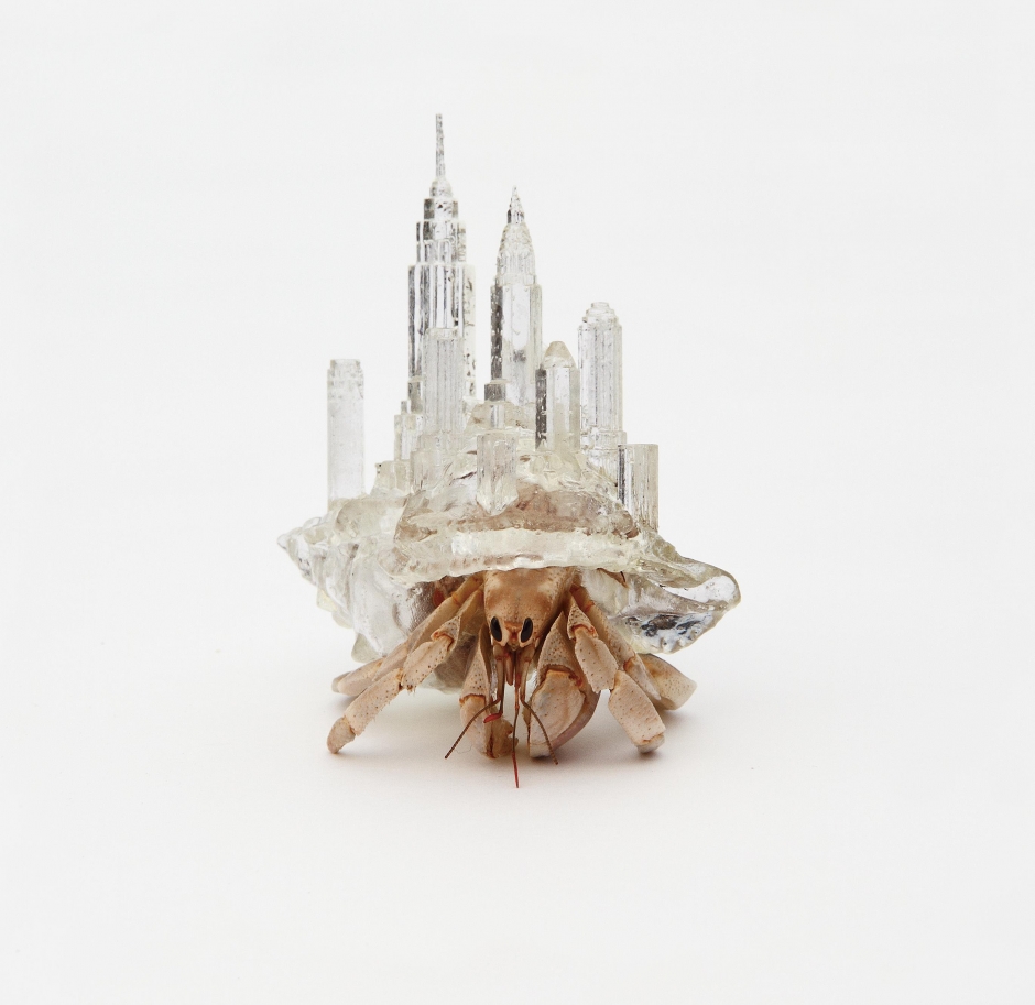 AKI INOMATA "Why Not Hand Over a Shelter" to Hermit Crabs? (c)AKI INOMATA courtesy or MAHO KUBOTA GALLERY