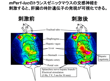 a_prj07-02_1