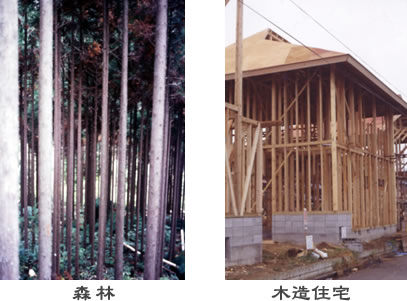 a_prj07-09_1