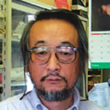 f_kuramochifumiya