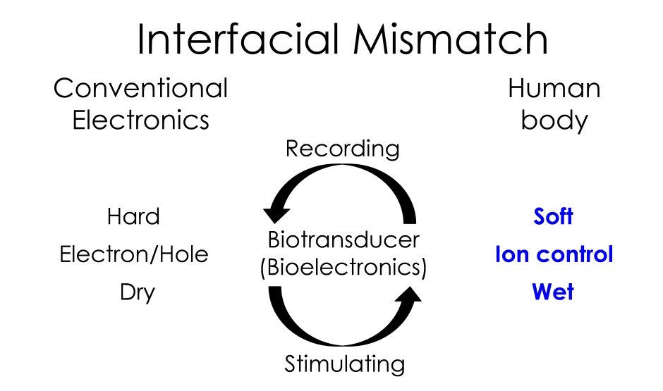 Miyake research img