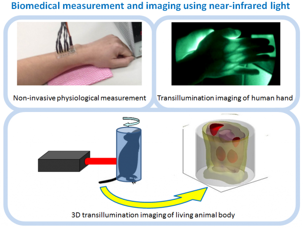 Shimizu_research img