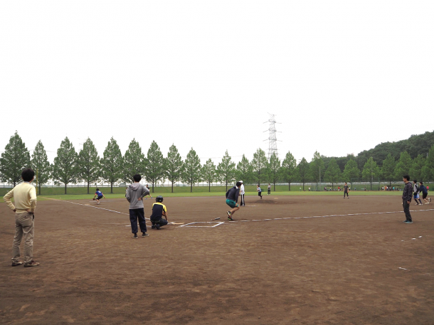 全体