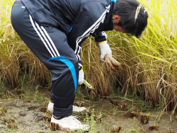 20161005_inekari08