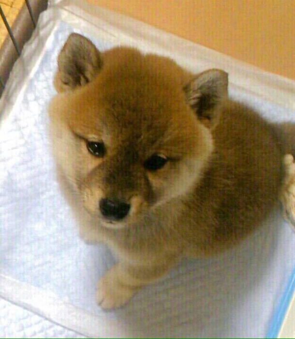 竹口 ひかりさん
