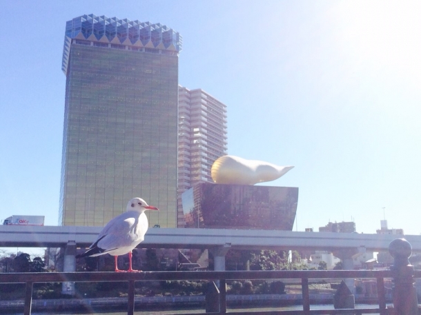 みずきさん