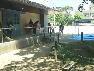 白川小学校廊下清掃