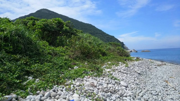 ベースキャンプを張った浜。自然が豊かでのどかな景色に見える