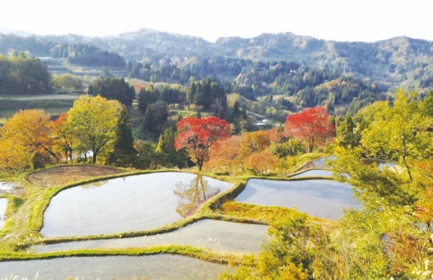 松代が誇る原風景「棚田」