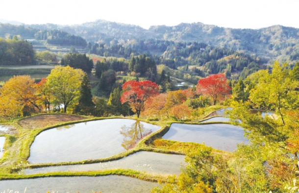 松代が誇る原風景「棚田」