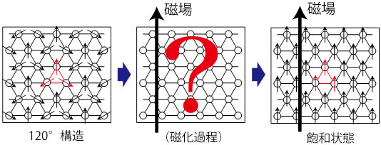 d_yamamoto_img02