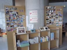写真整理(掲示板と棚は古谷教授作成です。)