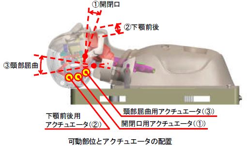 手技の評価・確認