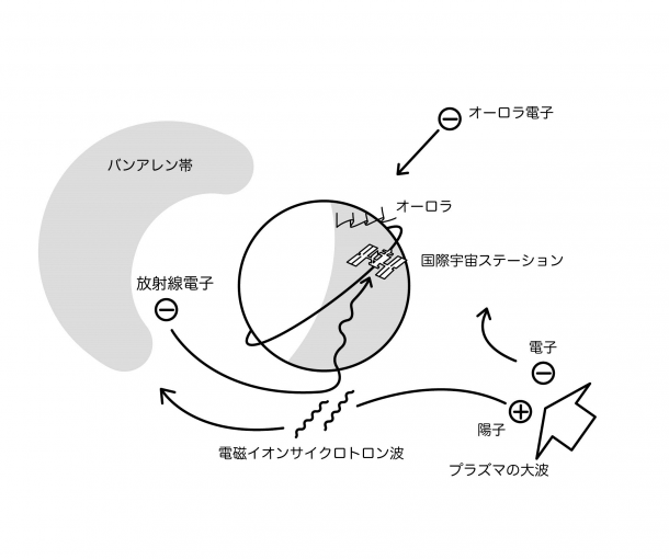 図3: 「電子の集中豪雨」の起こる状況説明図。バンアレン帯の南北断面は昼側のみ示す。オーロラが活発なときには、プラズマの大波が夜から押し寄せている。そのうち陽子の流れは夕方側に回り込み、電磁イオンサイクロトロン波と呼ばれる「さざ波」を生み出す。その「さざ波」を敏感に感じる放射線電子が地球大気へ叩き落とされる。
