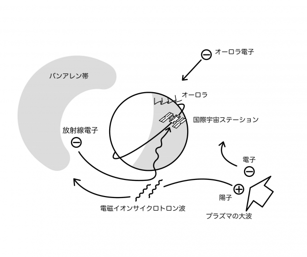 図3： 「電子の集中豪雨」の起こる状況説明図。バンアレン帯の南北断面は昼側のみ示す。オーロラが活発なときには、プラズマの大波が夜から押し寄せている。そのうち陽子の流れは夕方側に回り込み、電磁イオンサイクロトロン波と呼ばれる「さざ波」を生み出す。その「さざ波」を敏感に感じる放射線電子が地球大気へ叩き落とされる。