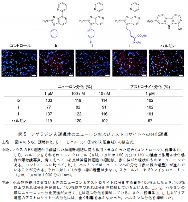 20160831_fig5