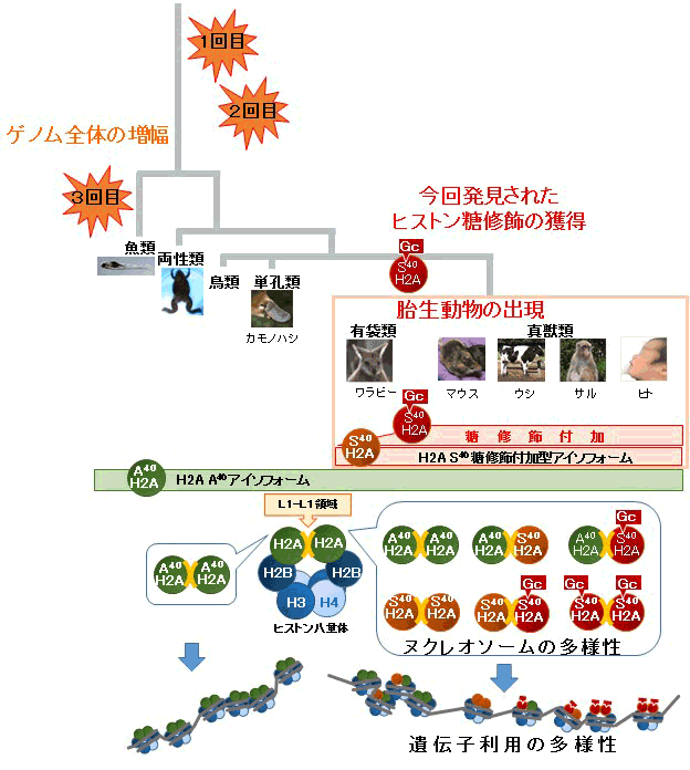 20160908_fig1