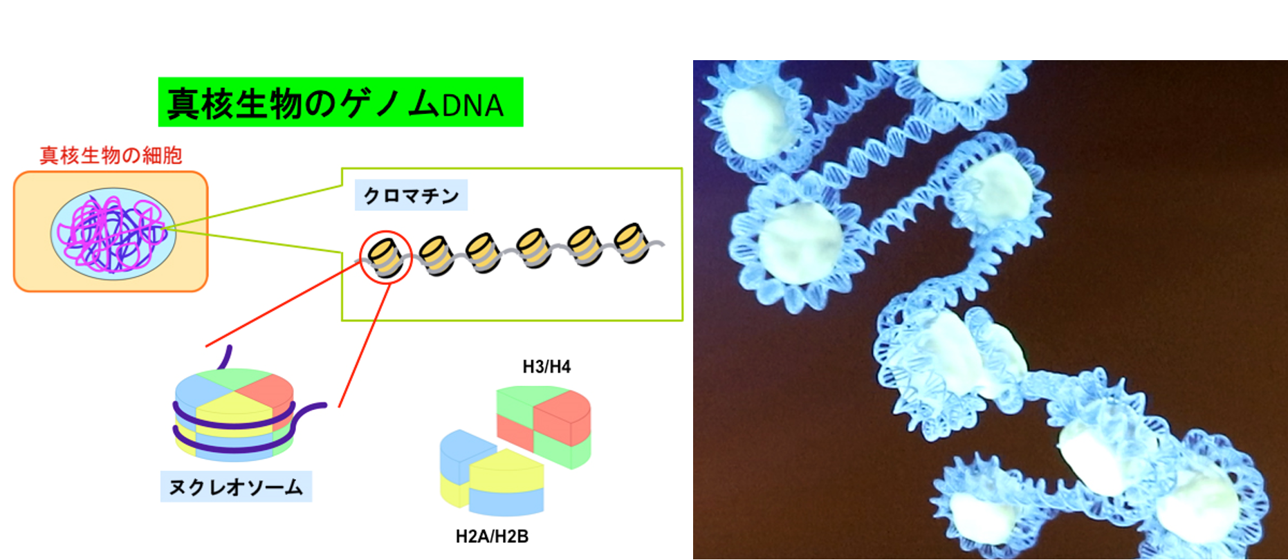 ■2-3改