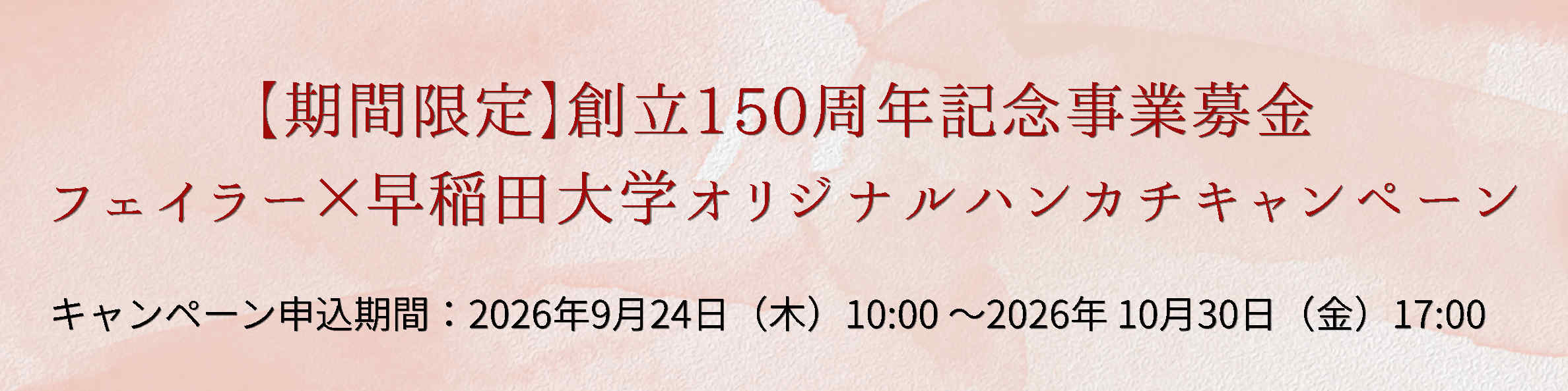 feiler campaignバナー1