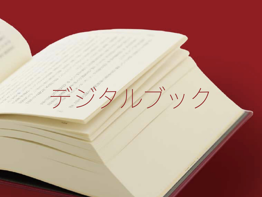 A05　古書　通俗二十一史　全12巻揃　早稲田大学出版部 通俗二十一史 全12巻揃(早稲田大学編集部) / 二朗書房 / 古本、中古本