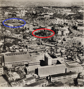 青のエリアに安部球場、赤のエリアに高田富士などがあった。『早稲田大学創立80周年』より