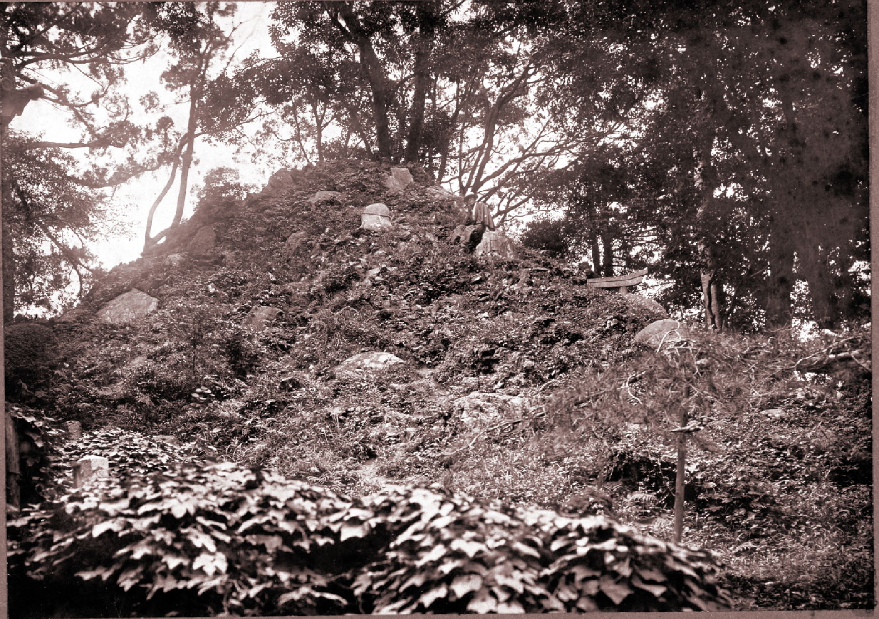 「高田富士 1909年（明治42年）・早稲田大学歴史館所蔵」。よく見ると、岩に腰かけて、休んでいる人がいる。