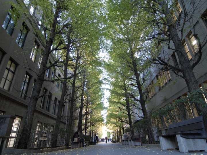 ワーキング・ペーパー