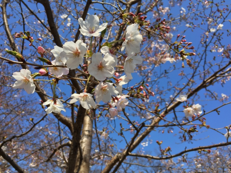 【商学部新入生各位】新入生オリエンテーションについて