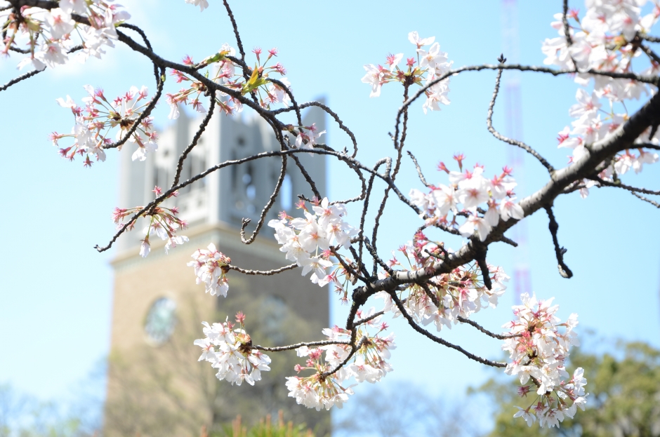 商学部報177号（専任・新任教員紹介）を発行