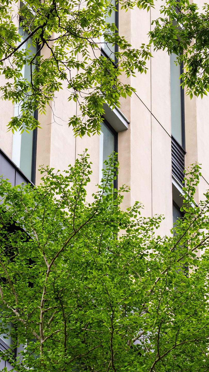 学識ある実業家たれ