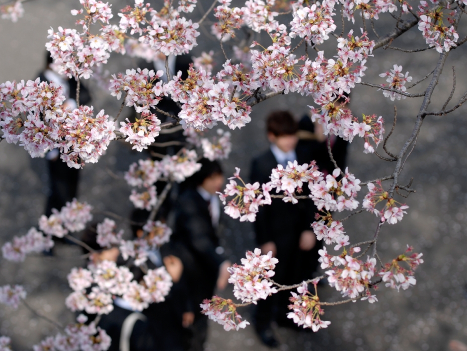 Announcement of the Reorganization