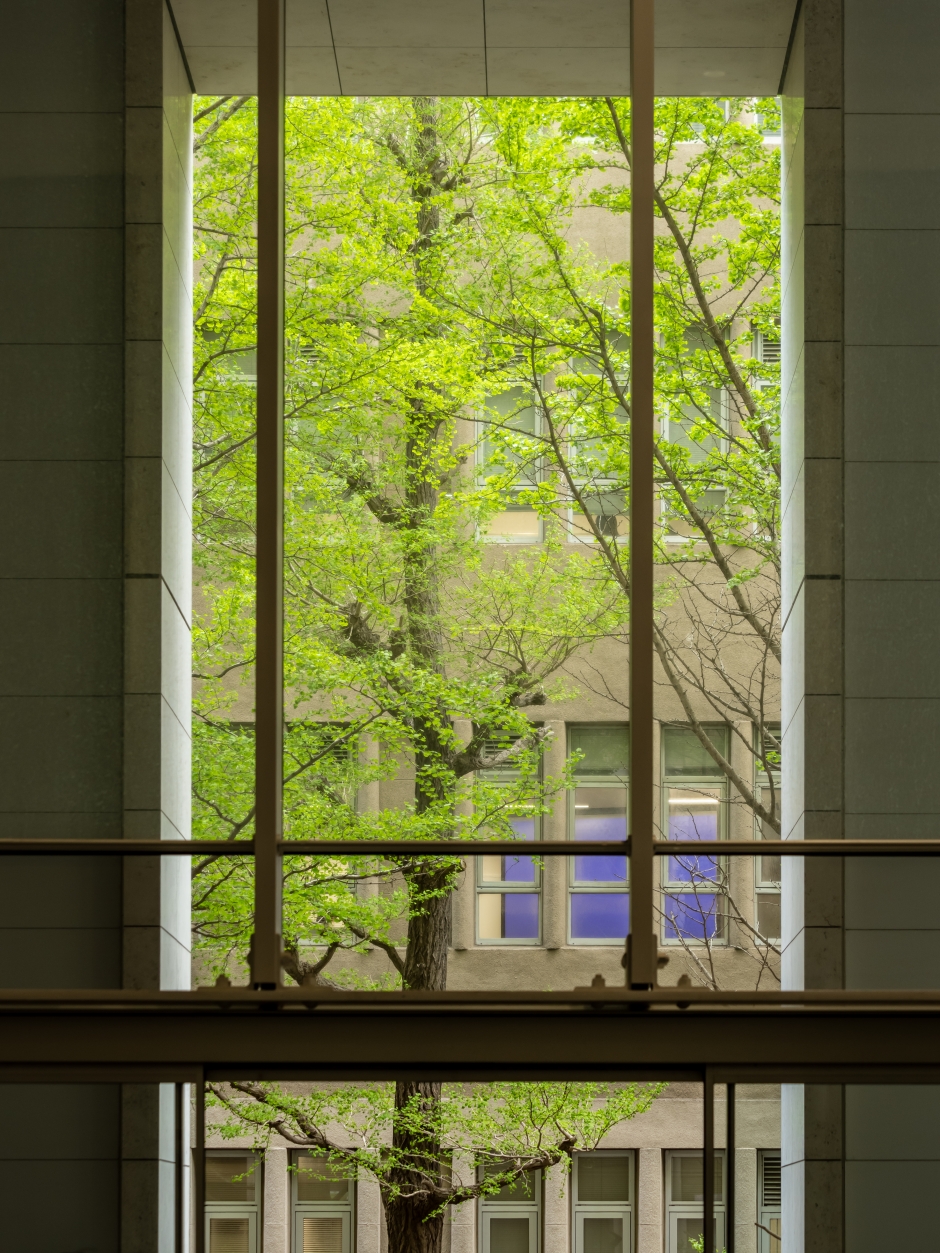 Dean’s Message for Those Affected by the Novel Coronavirus Outbreak