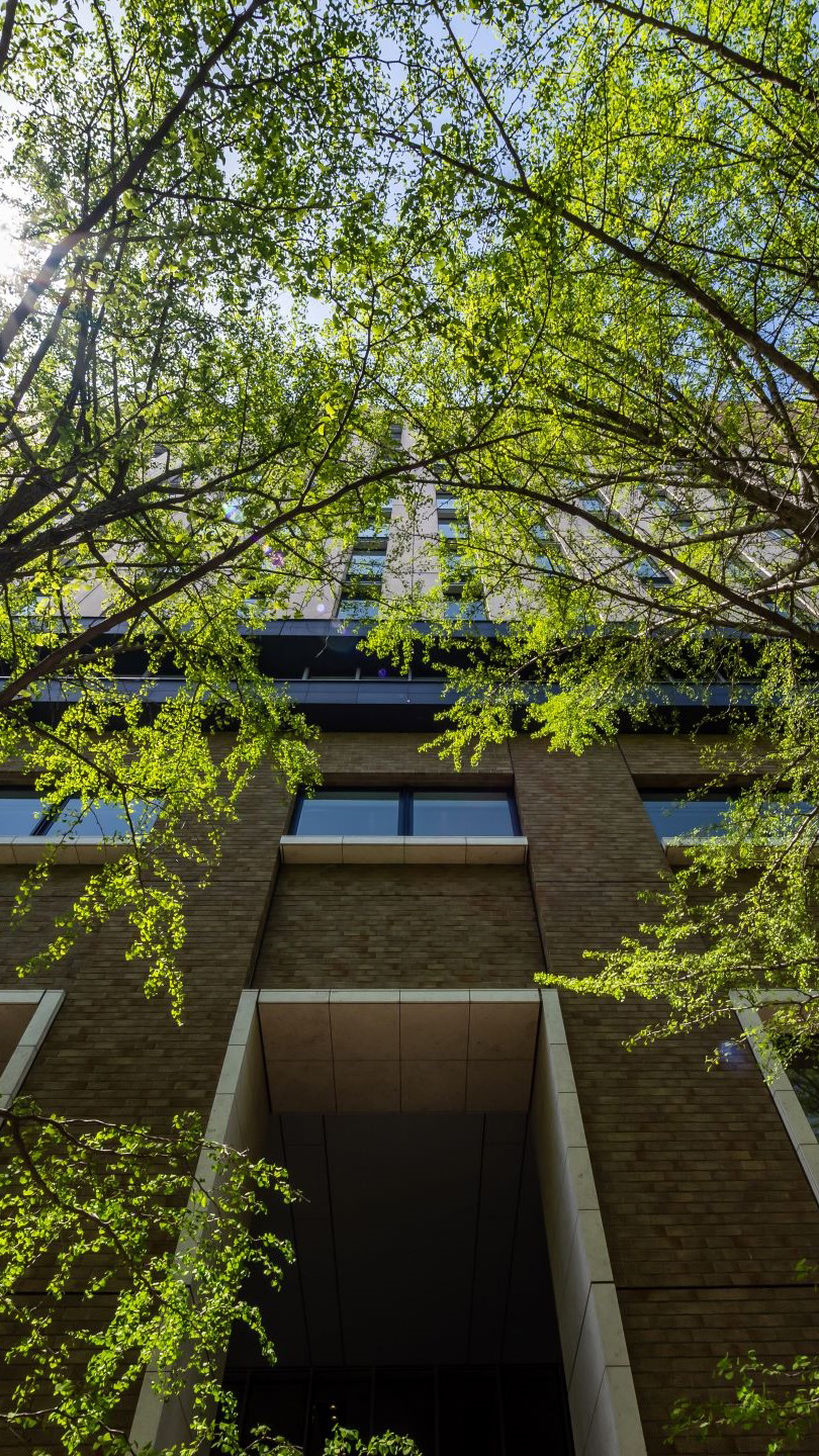 Study in one of the world’s most exciting cities