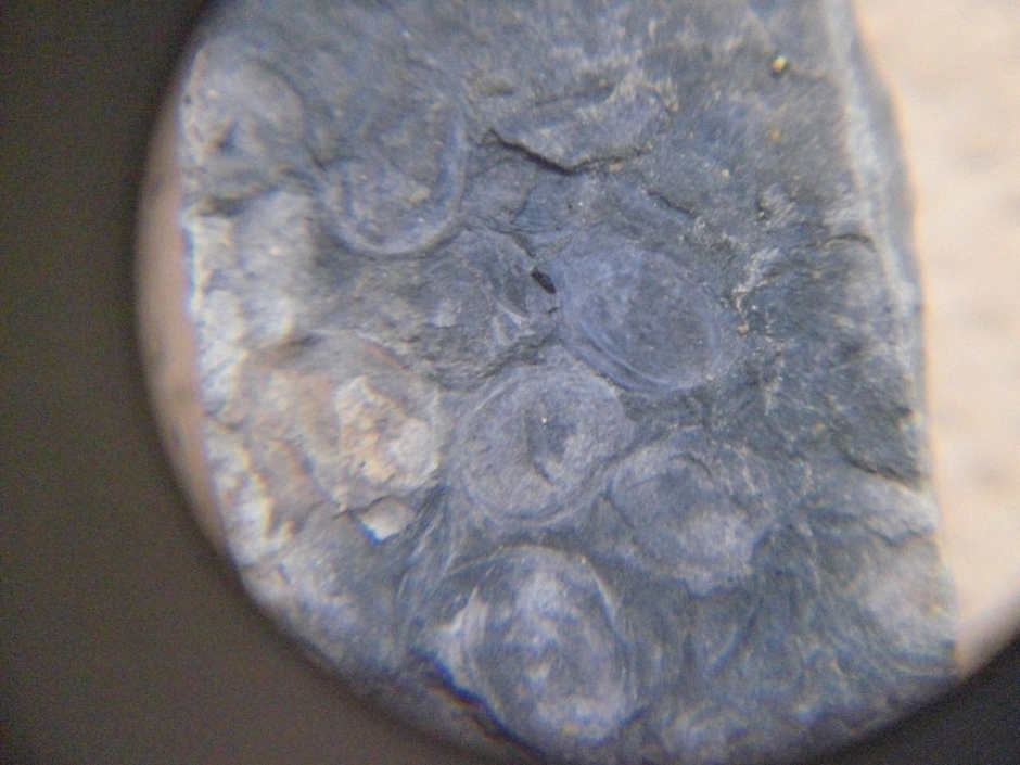 講演会「Searching for a Jurassic/Cretaceous boundary in lake deposits in northern China」3/13