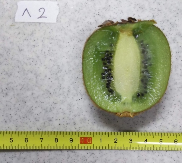 【生物学専修】「植物形態学・実験」/ 受験生のみなさんへ