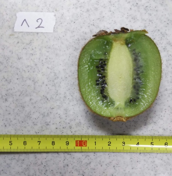 【生物学専修】「植物形態学・実験」/ 受験生のみなさんへ