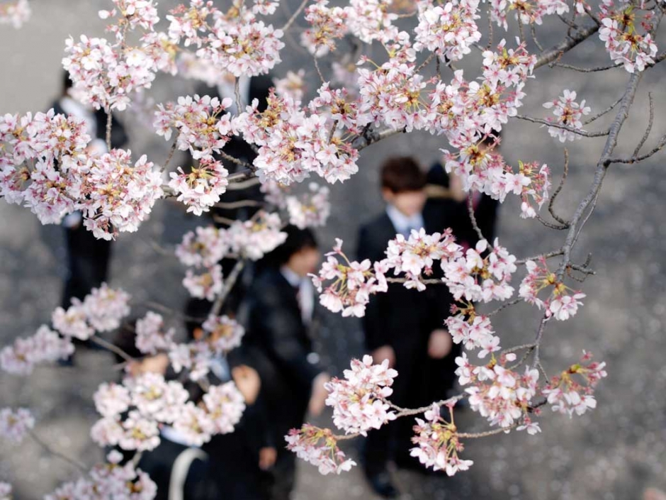 ２０１８年度　大学院教育学研究科入学式・新入生ガイダンスについて