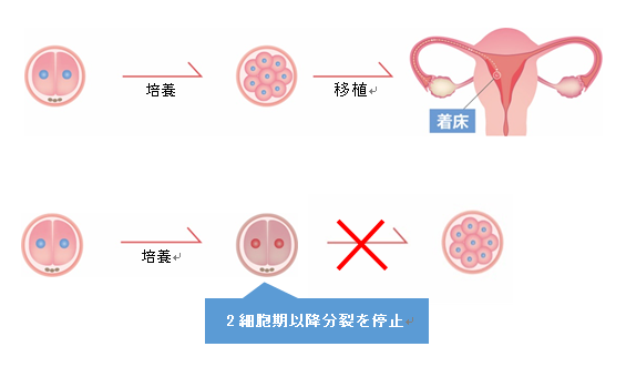 原太一教授との産学連携により男性不妊に対する新しいアプローチ提案を可能とする研究成果を発表