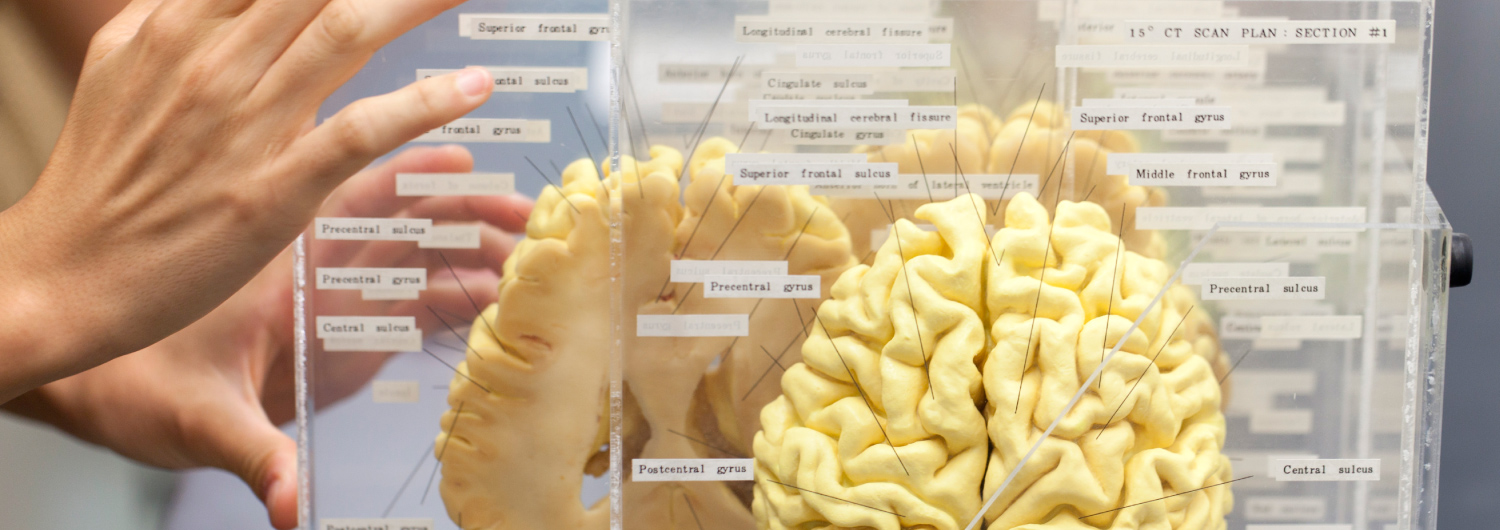 「人間」に関する総合知の構築をめざす