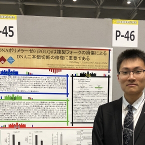 学生の活躍 早稲田大学 人間科学部