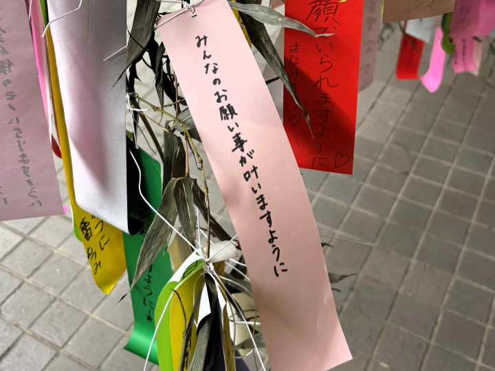 星に願いを　所沢キャンパスで七夕プロジェクトを開催　★ミ