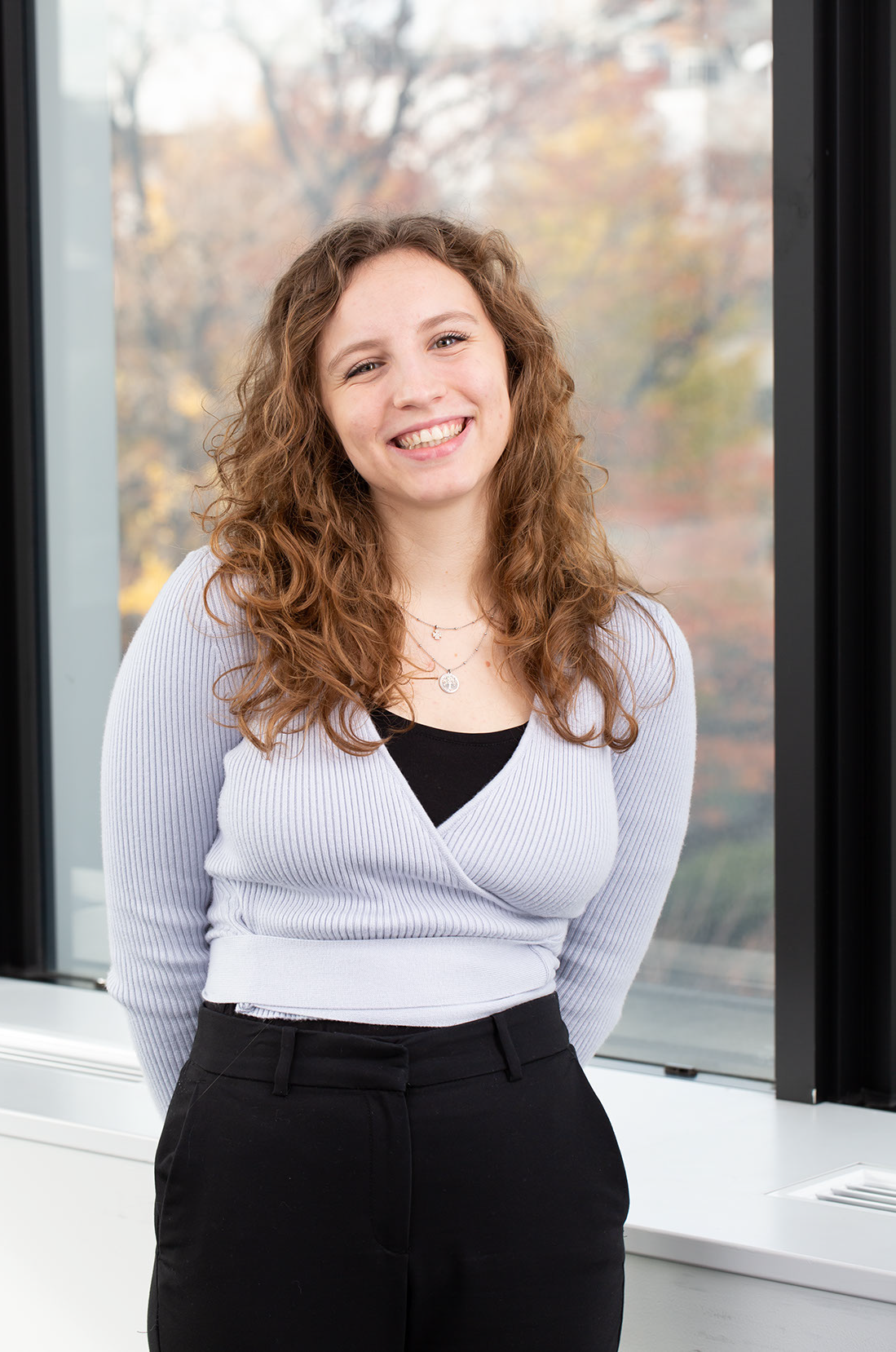 Sheerin caprioli thesis 08 image