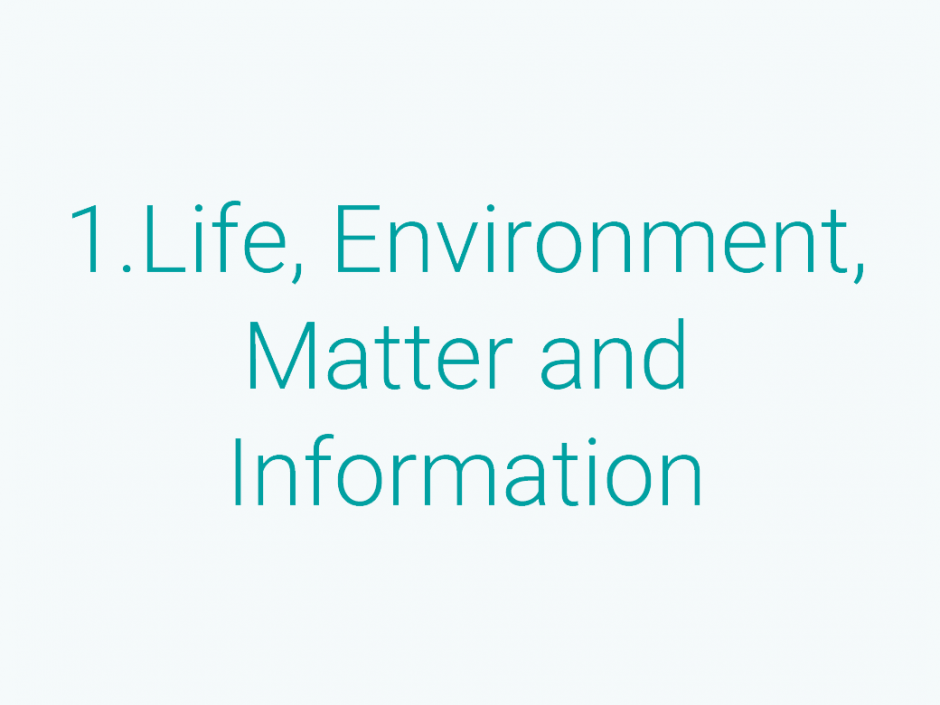 Keywords:Artificial Intelligence, Biology, Calculus, Data Science, Environmental Science, Mathematics, Physics, Programming, etc.