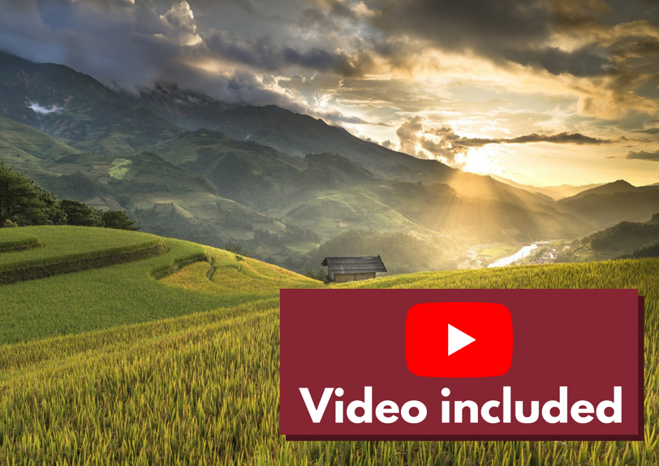 Online Workshop Report: “The current status of Globalization in Japanese Studies -From the viewpoint of history in East Asian Culture-“