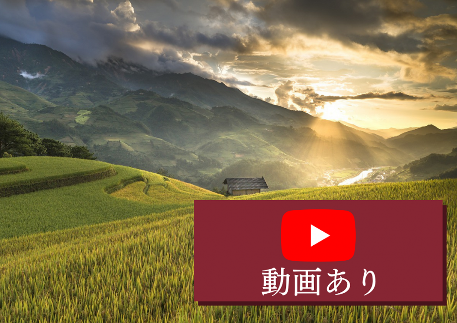 開催報告「日本研究の国際化とは何かを東アジアから考える―『東アジア文化講座』全４巻の刊行に寄せて」