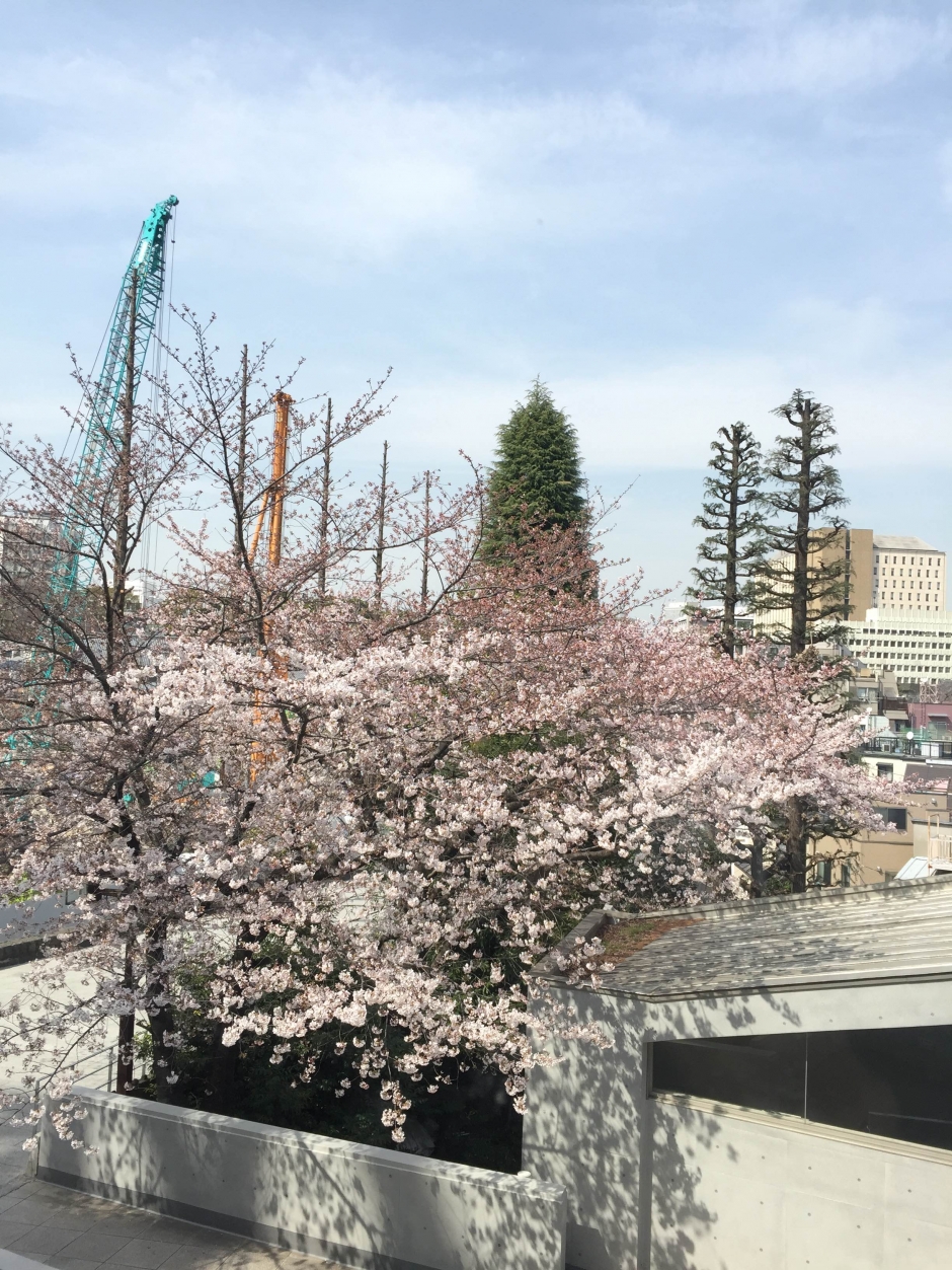 【プレスリリース】新入試制度　「一般入試（英語4技能テスト利用型）」の基準スコアの公開について