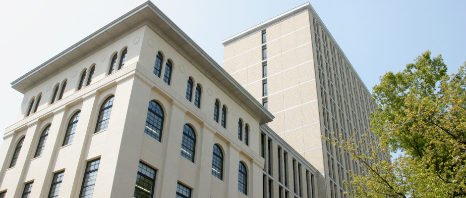 ２０２４年度活動報告書を掲載しました。