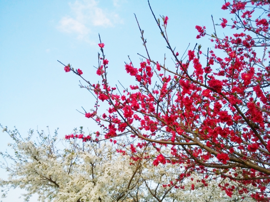 2023年度春季休業（春休み）期間中の学内の各事務所・施設・図書館等の開室情報