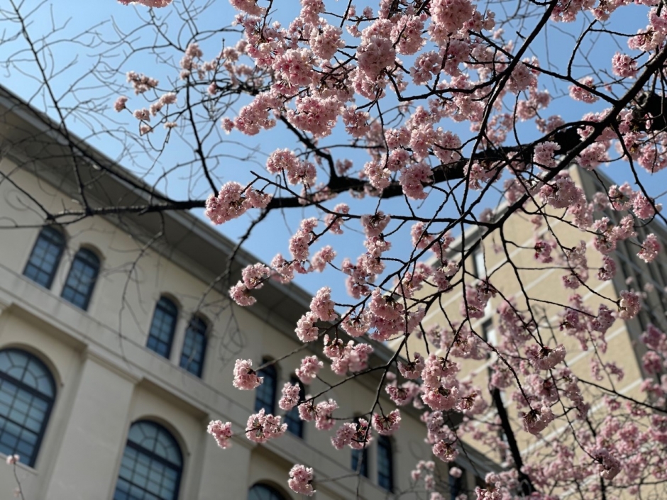 2023年度（2024年3月）卒業式および学位記授与のご案内［3月22日更新］