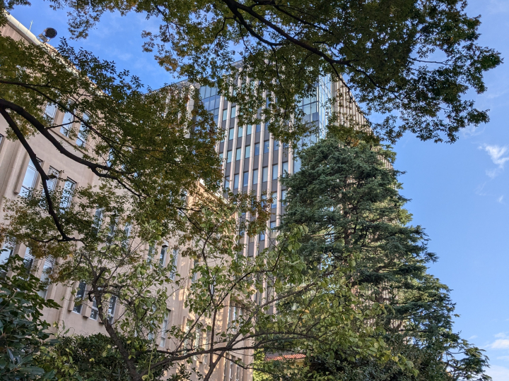 進学・就職実績